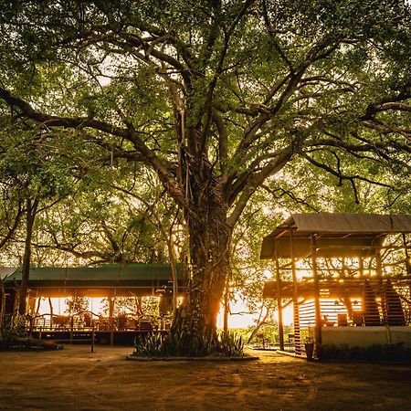Askiesbos - Samochima Bush Camp Shakawe Dış mekan fotoğraf