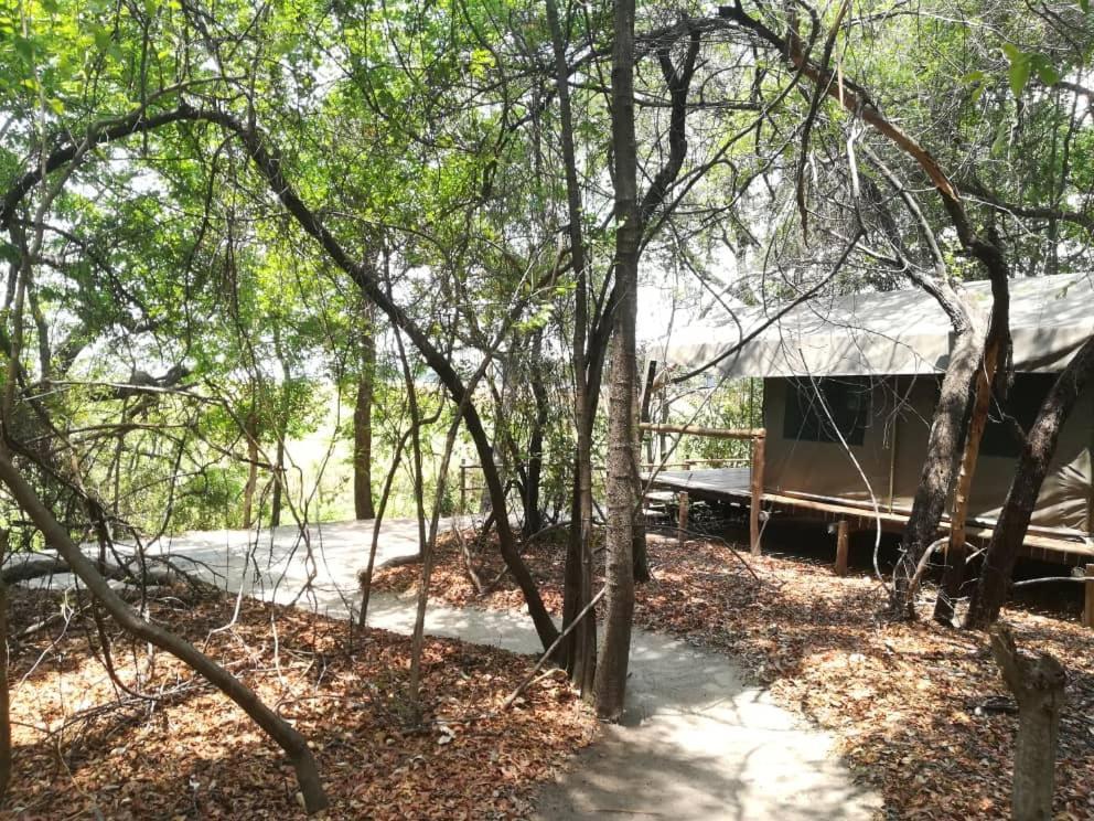Askiesbos - Samochima Bush Camp Shakawe Dış mekan fotoğraf