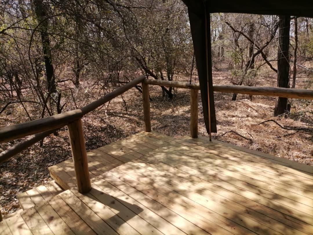Askiesbos - Samochima Bush Camp Shakawe Dış mekan fotoğraf