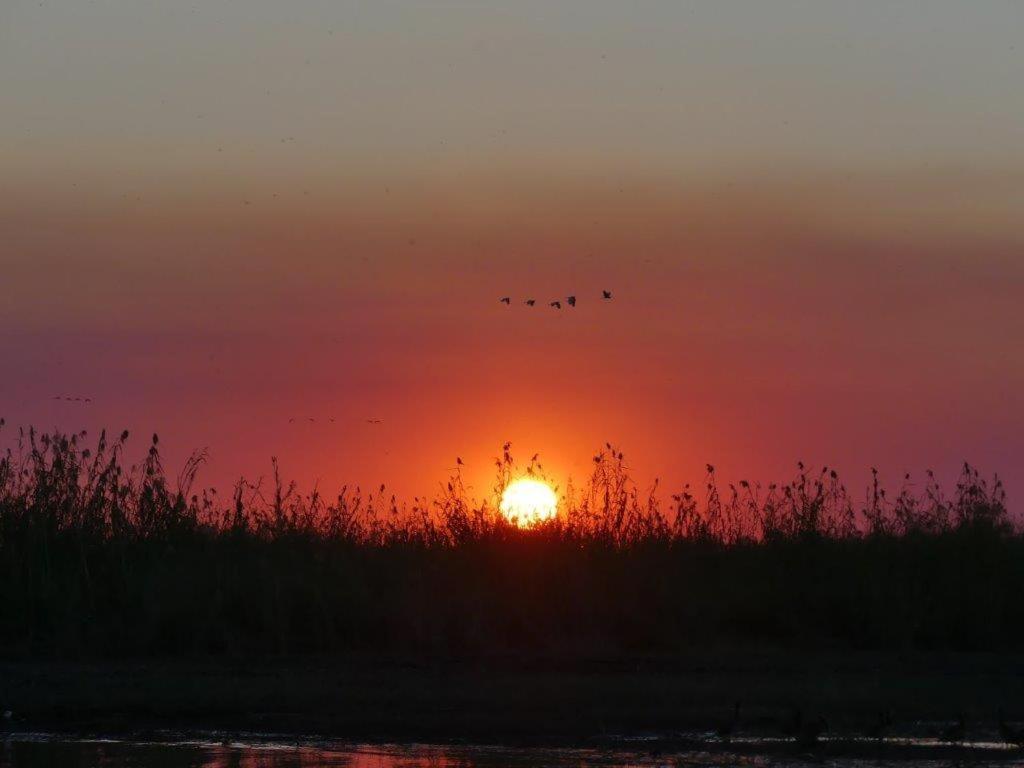 Askiesbos - Samochima Bush Camp Shakawe Dış mekan fotoğraf