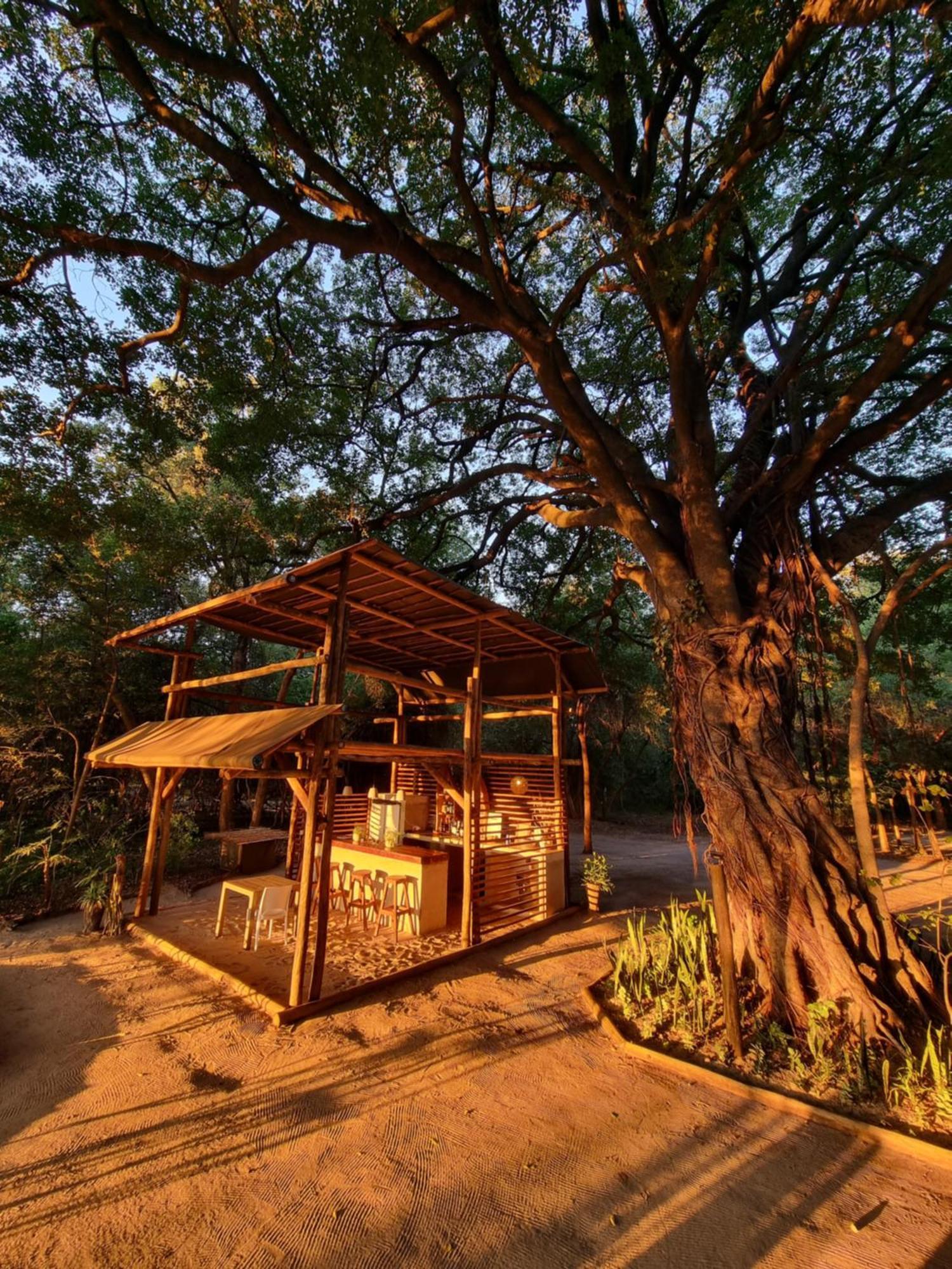 Askiesbos - Samochima Bush Camp Shakawe Dış mekan fotoğraf