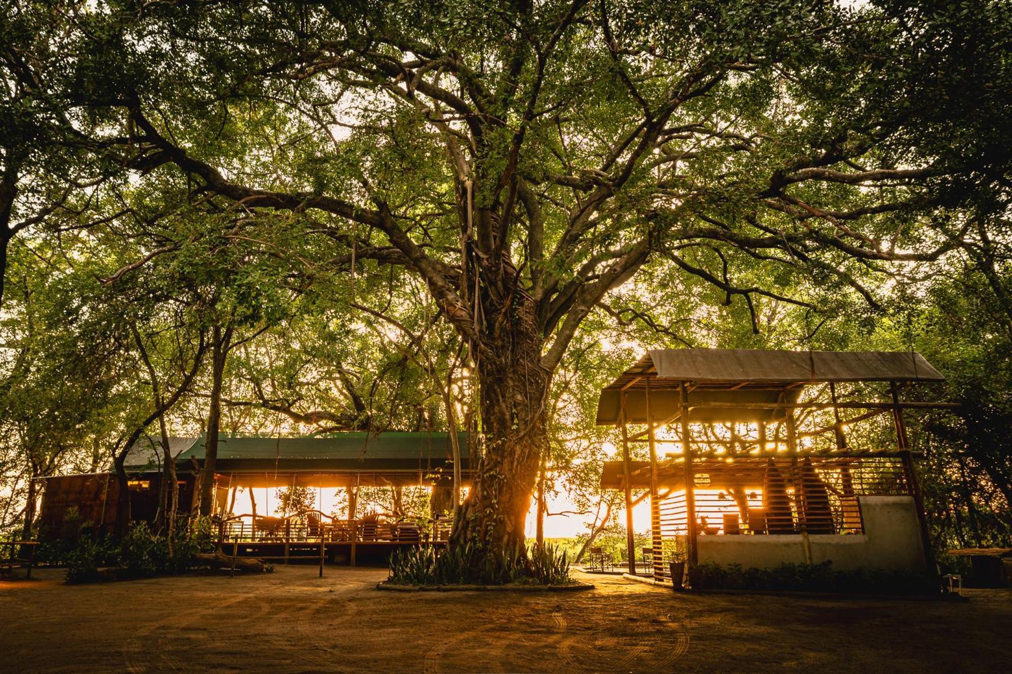 Askiesbos - Samochima Bush Camp Shakawe Dış mekan fotoğraf