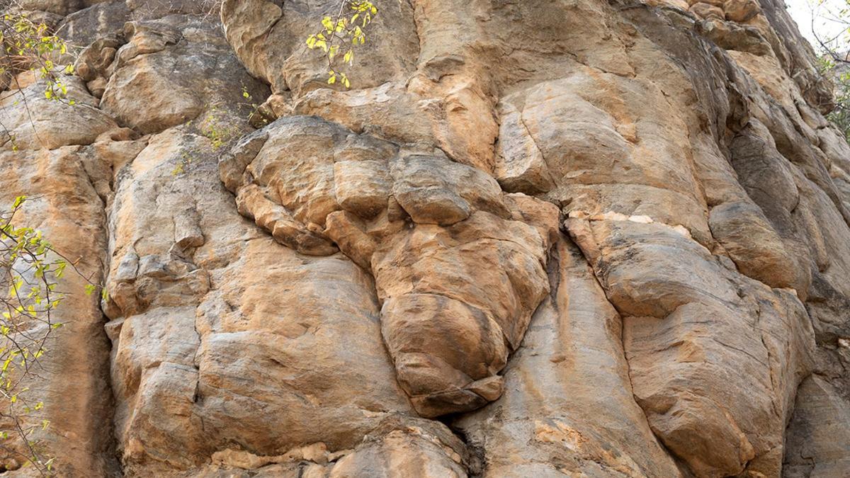 Askiesbos - Samochima Bush Camp Shakawe Dış mekan fotoğraf