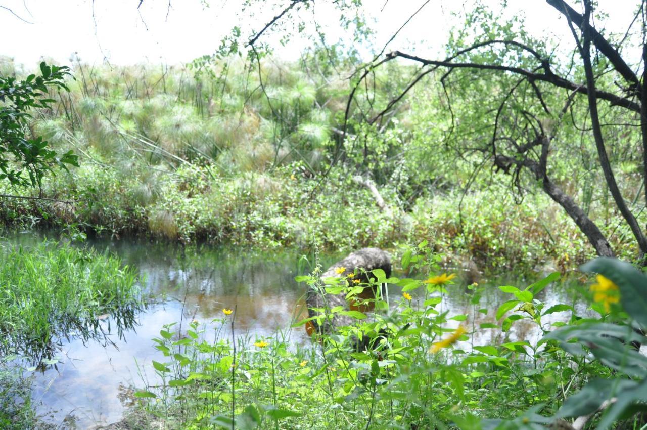 Askiesbos - Samochima Bush Camp Shakawe Dış mekan fotoğraf